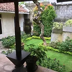 Ahoy Guesthouse